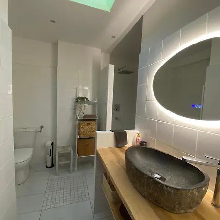 La Au Palmier - 10ch, 2sdb, Toit Terrasse *