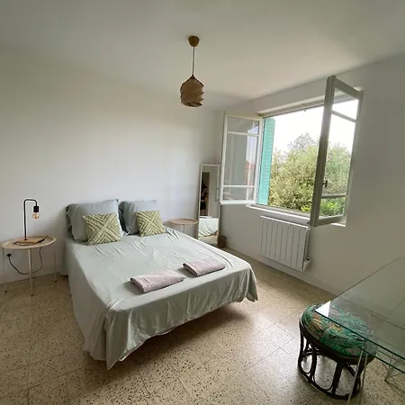 La Au Palmier - 10ch, 2sdb, Toit Terrasse Villa *