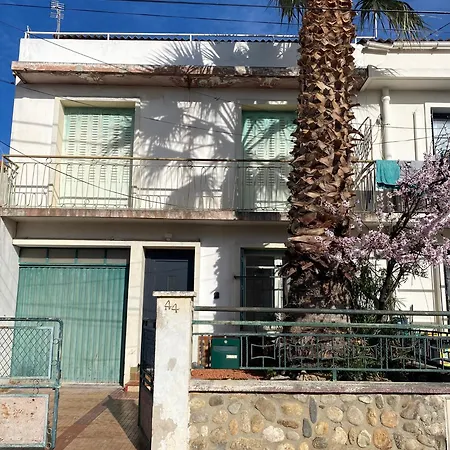Villa La Au Palmier - 10ch, 2sdb, Toit Terrasse Perpignan