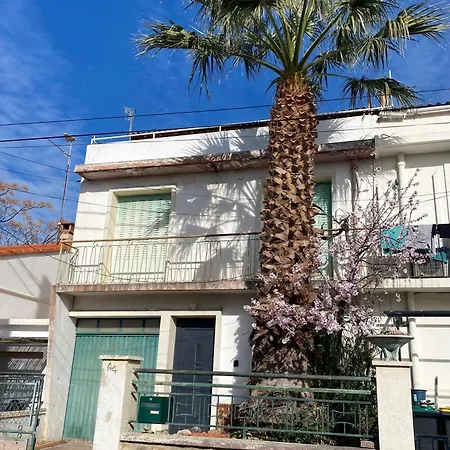 La Au Palmier - 10ch, 2sdb, Toit Terrasse *