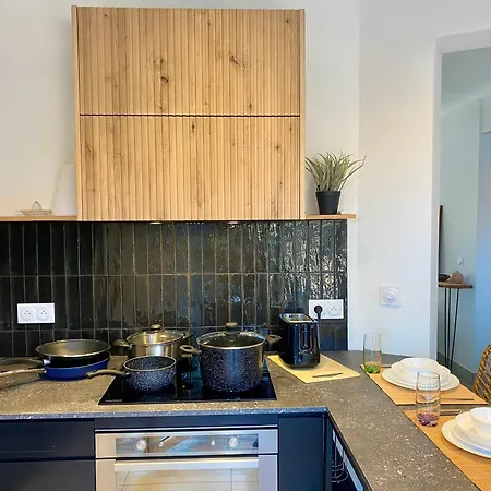 ヴィラ La Au Palmier - 10ch, 2sdb, Toit Terrasse ペルピニャン