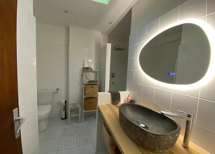 La Au Palmier - 10ch, 2sdb, Toit Terrasse *