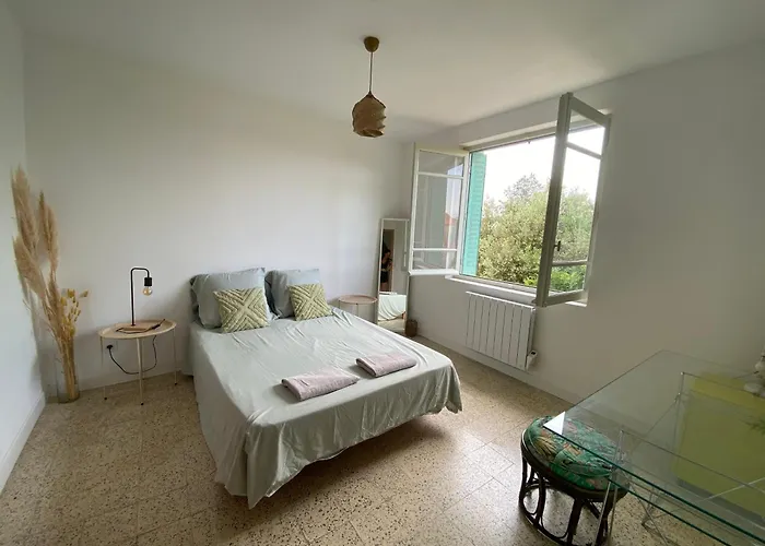 La Au Palmier - 10ch, 2sdb, Toit Terrasse ヴィラ *