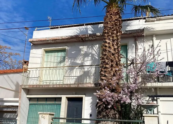 La Au Palmier - 10ch, 2sdb, Toit Terrasse *