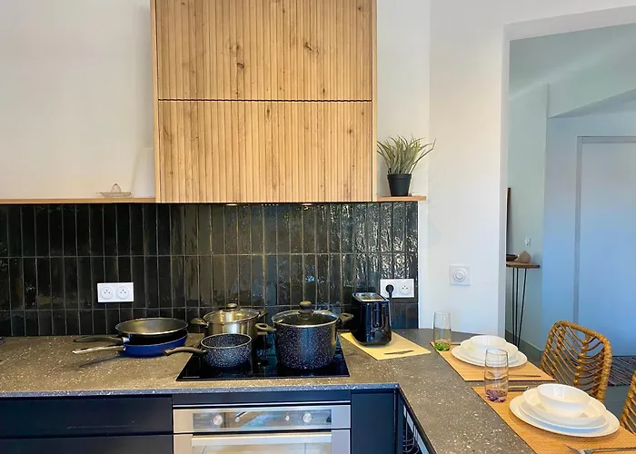 ヴィラ La Au Palmier - 10ch, 2sdb, Toit Terrasse ペルピニャン